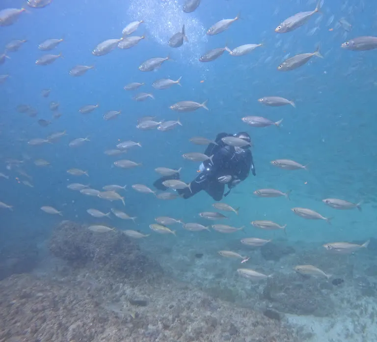 Diving in Fujairah — photo 1