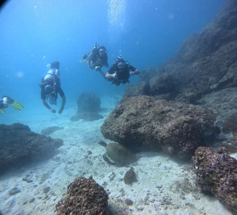 Diving in Fujairah — photo 2