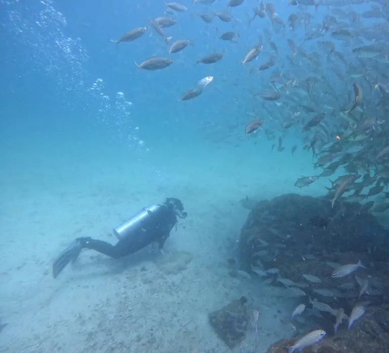 Diving in Fujairah — photo 4