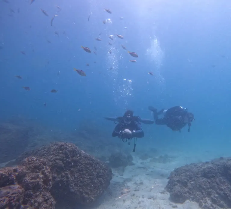 Diving in Fujairah — photo 7