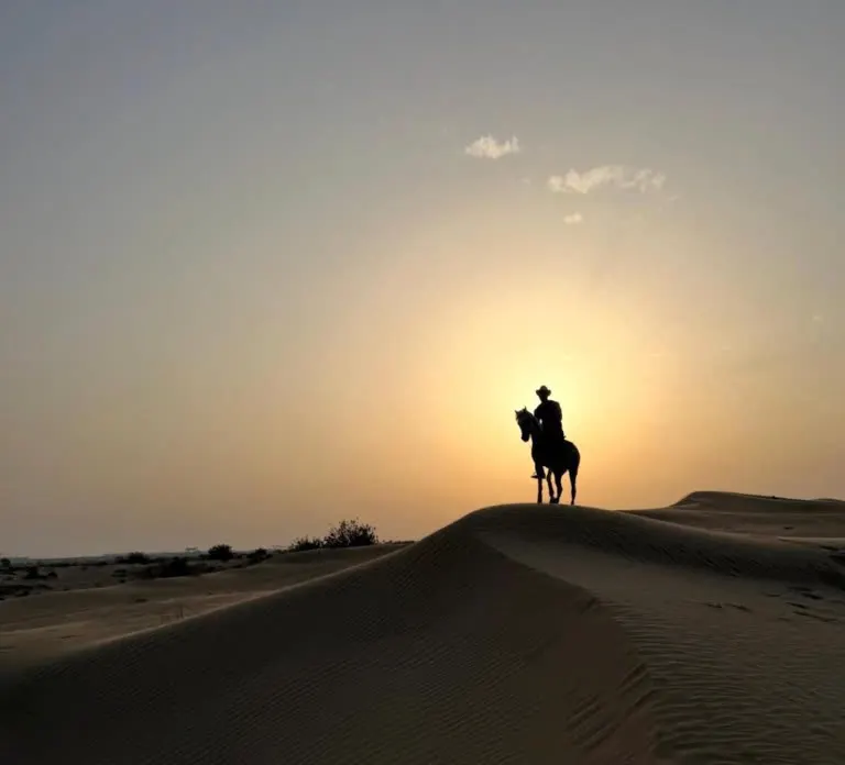 Horse and Camel Riding in Dubai — photo 1