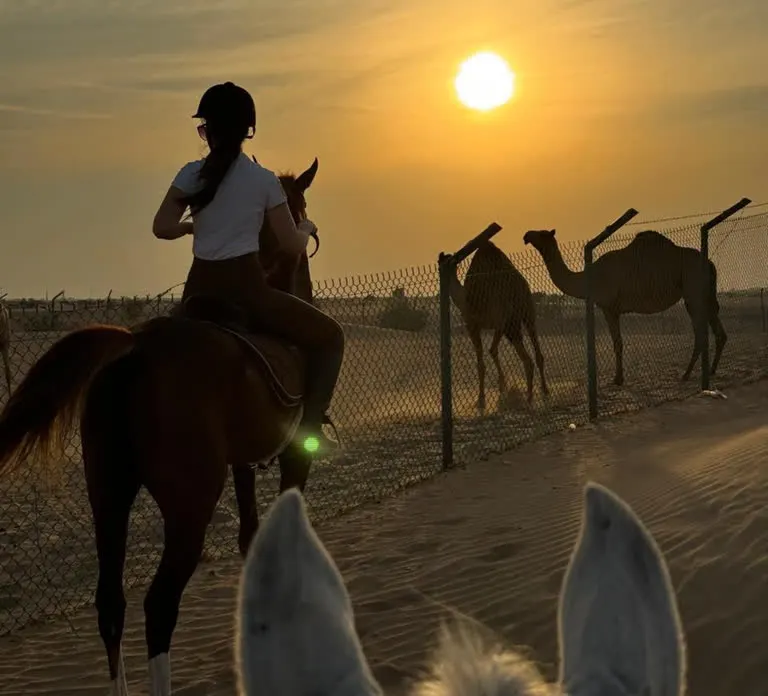 Horse and Camel Riding in Dubai — photo 2