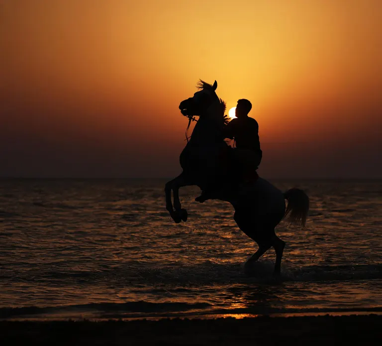 Horse Riding in Abu Dhabi — photo 1