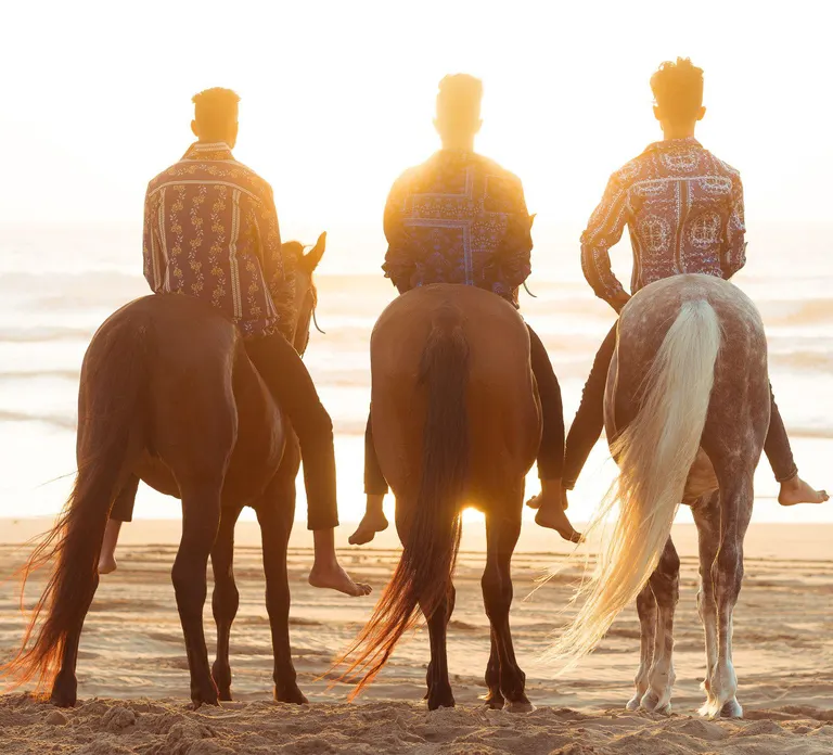 Horse Riding in Abu Dhabi — photo 3