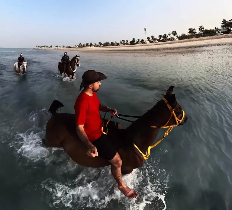 Horse Riding in Abu Dhabi — photo 4