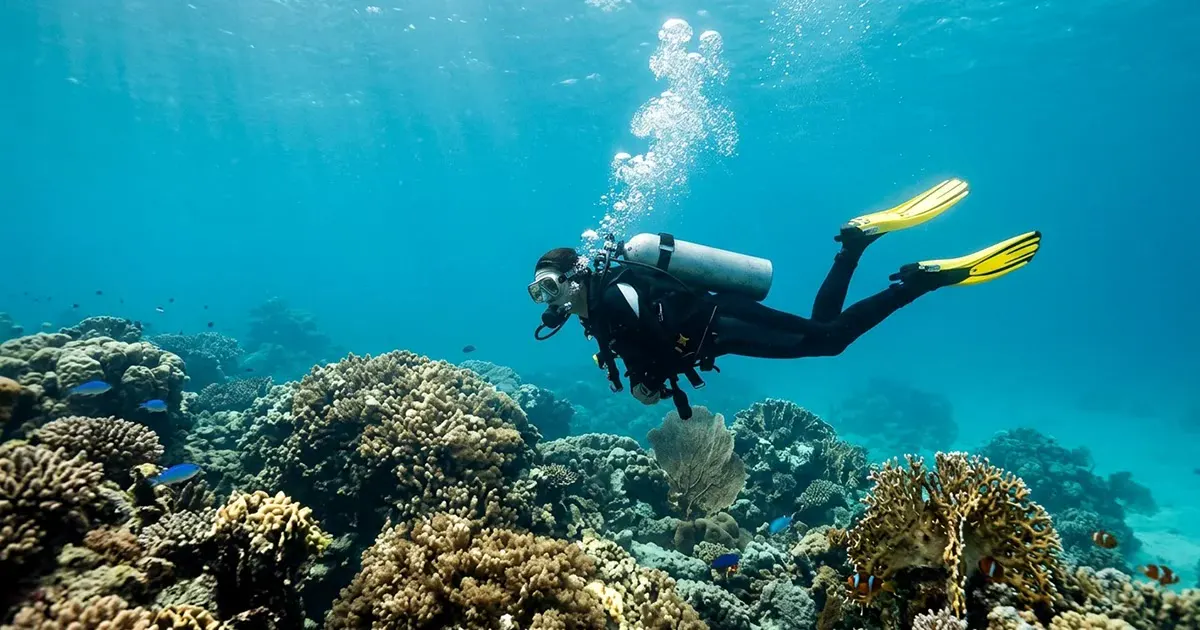 צלילה וסנורקלינג עם Nemo Diving Center: דובאי ופוג'יירה